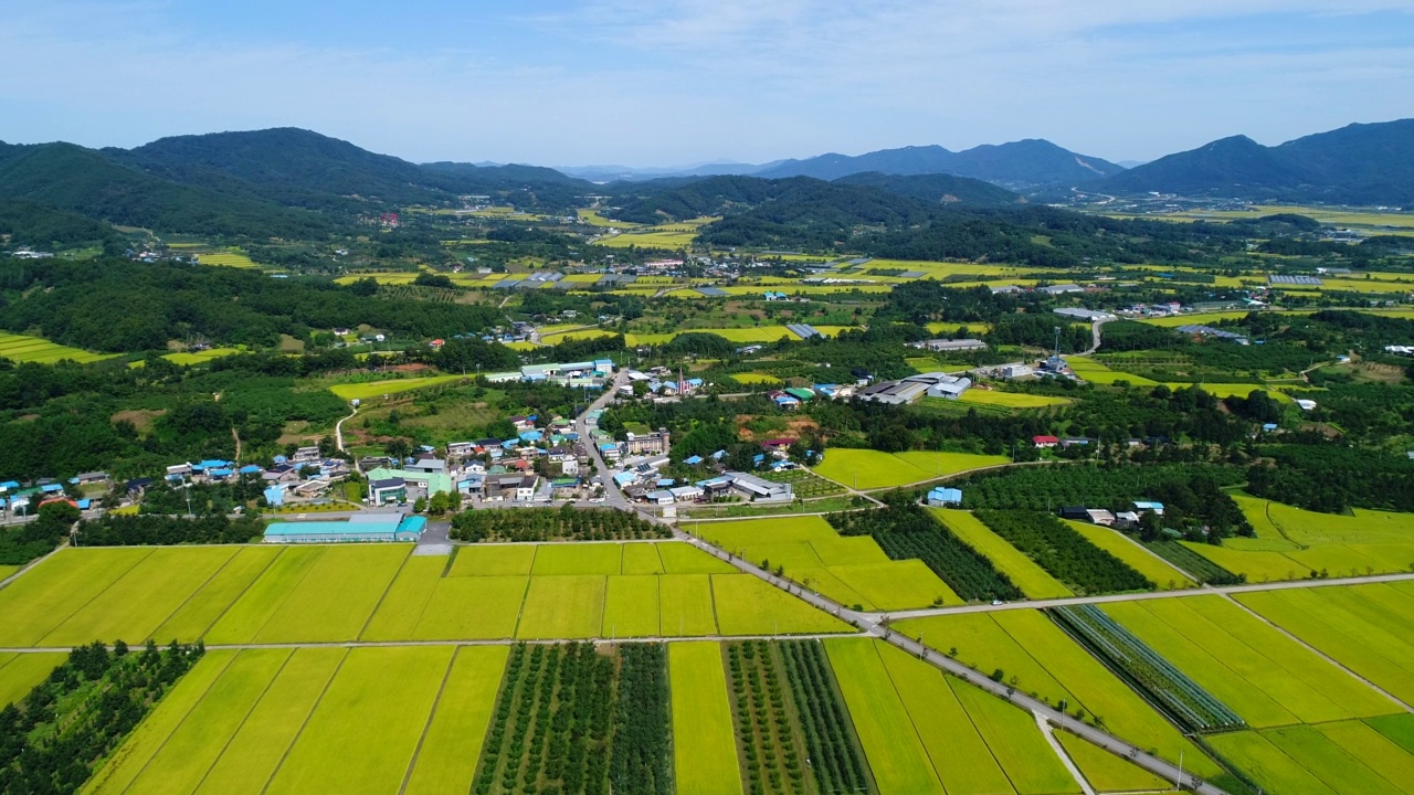 韩国庆尚北道尚州市Oenam郡的农田和村庄视频素材