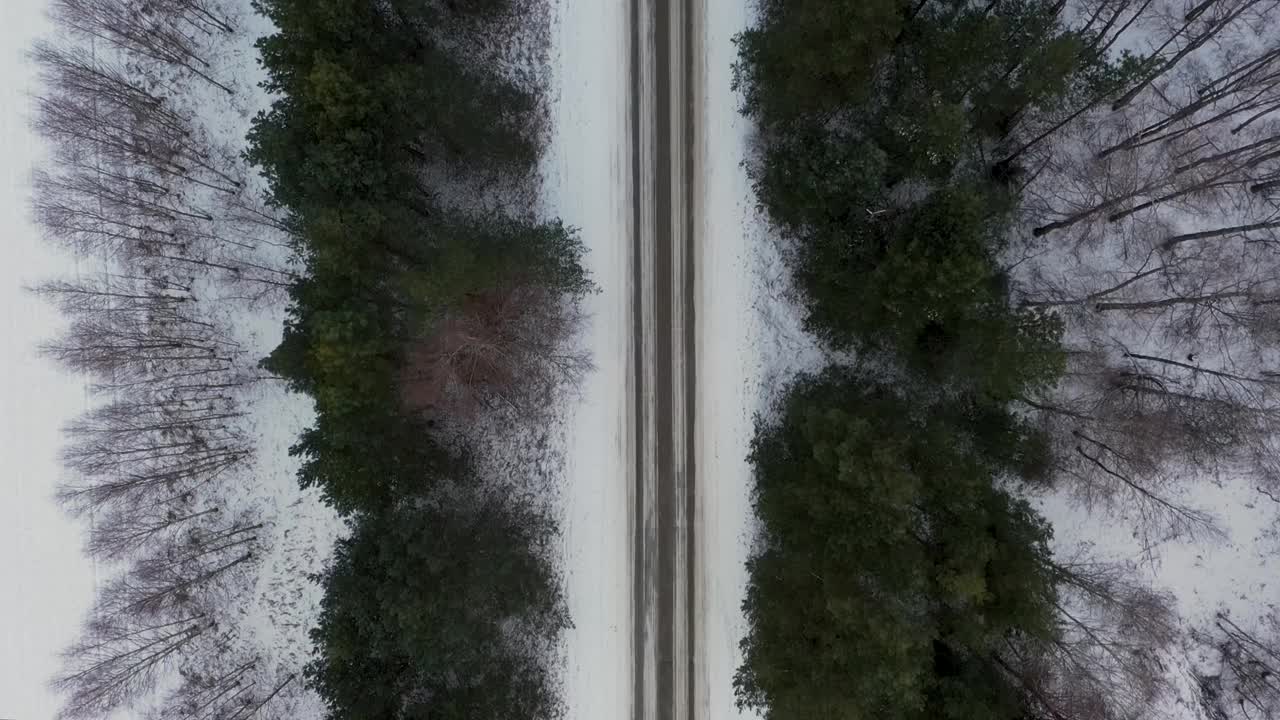 在针叶林中雪地行驶的鸟瞰图视频素材