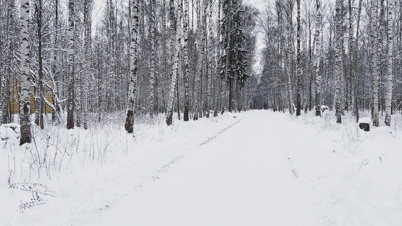 白雪皑皑的空旷森林，黑白白桦树干等树木，公园里无人，宁静祥和视频素材