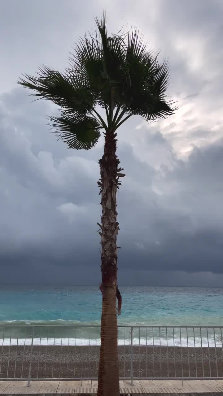 狂风暴雨的一天视频素材