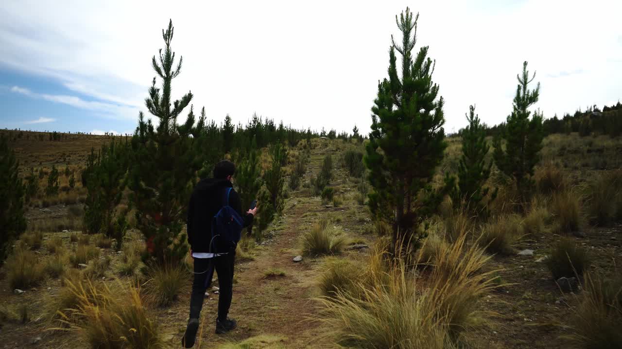 从后面的一个男人徒步穿过山上的灌木丛和植被，看着他的手机视频素材