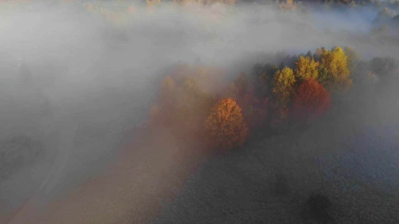 鸟瞰图。朦胧乡村的日出。魔法雾到地平线。壮丽的自然景观。令人惊奇的鸟瞰图雾和五颜六色的树木在日出。秋天的雾景观。雄伟的雾森林视频素材