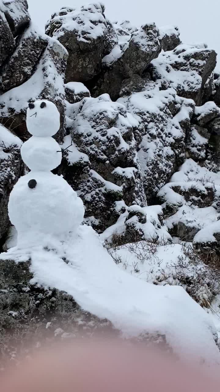 雪人在冰岛视频下载