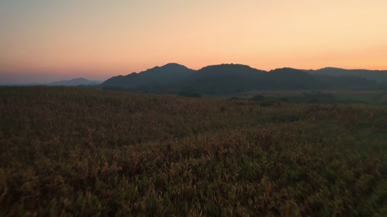 鸟瞰田野，夏日农业视频素材