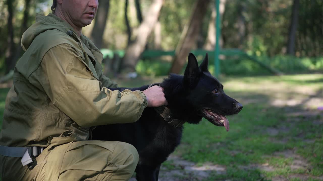 辨认不出的驯兽员拿着黑色德国牧羊犬的项圈，伸出舌头望向远方。纯种狗户外晴天与高加索人。纪律和服从的观念。视频素材