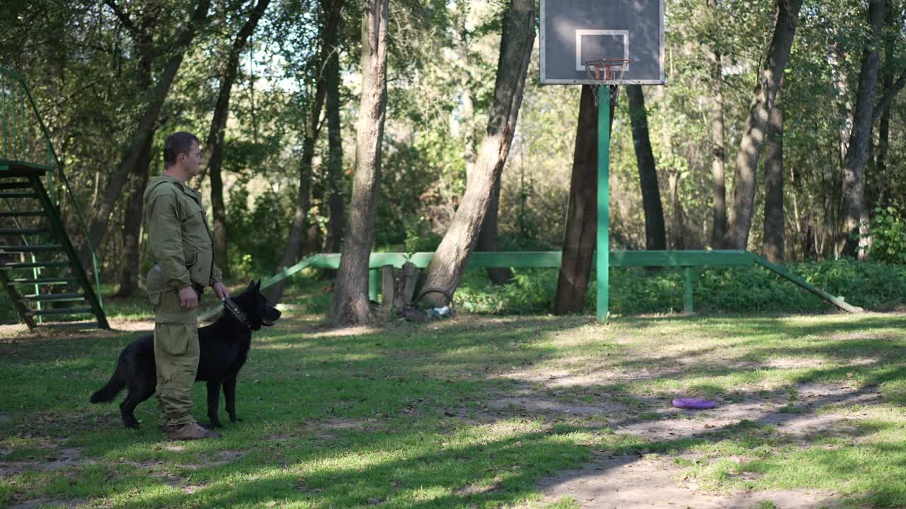 训犬师抱着吠犬项圈和黑色德国牧羊犬攻击身穿防护服的男子。广角投篮后卫动物训练户外阳光明媚的春天夏天的一天。保护和服从。视频素材