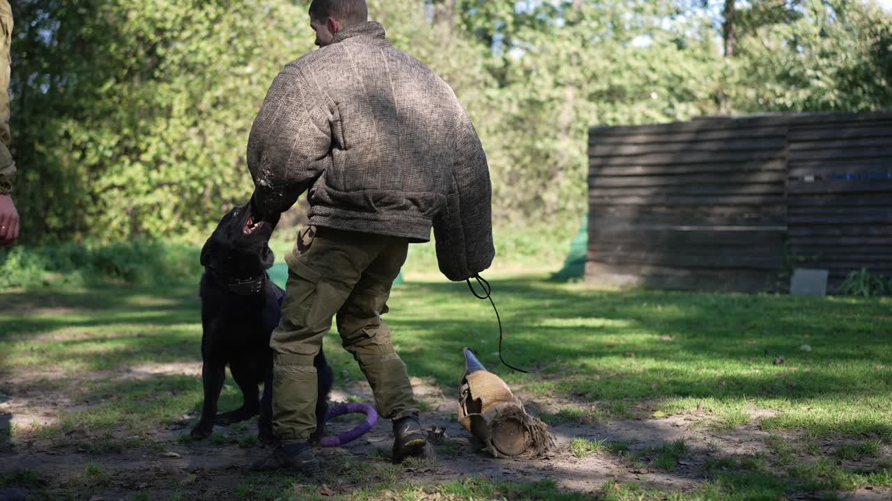 强壮的黑色德国牧羊犬拿着防护服的袖子和牙齿，白人男子在户外慢动作训练狗。训练中心的警犬攻击罪犯。视频素材