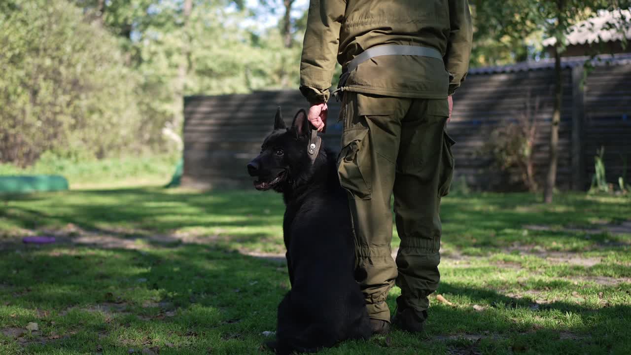 华丽的黑色德国牧羊犬和驯兽师坐在绿色的草地上，看着远处开始吠叫，穿着防护服的罪犯出现。顺从的愤怒的狗训练防守慢动作。视频素材