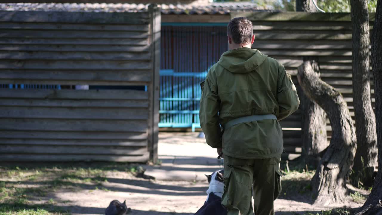 一名白人男子拿着狗项圈，带着美国斯塔福德梗犬进入犬类训练中心。后视图男性驯兽师和好奇动物漫步在阳光明媚的一天户外。视频素材