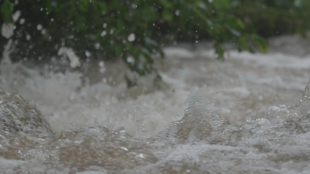 一场瓢泼大雨弄湿了河岸上的植被后，山河湍急地奔流，带着泡沫和溅水的急流跳过岩石视频素材