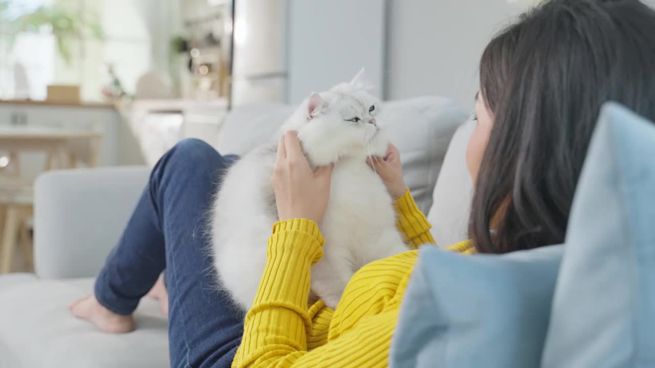 亚洲女人抱着小猫在家里玩得很开心。有魅力的漂亮女性坐在沙发上，悠闲地消磨时间，与她的宠物在客厅温柔地交谈。视频素材