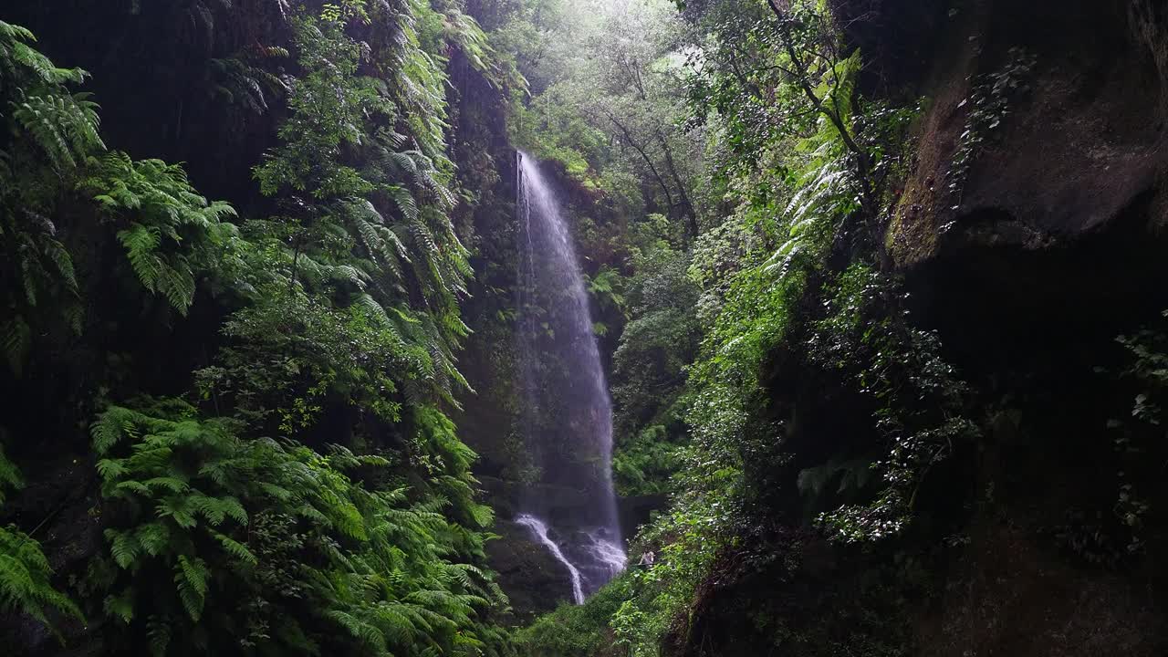 在拉帕尔马岛上，一条河流和瀑布在植被繁茂的峡谷之间。视频素材