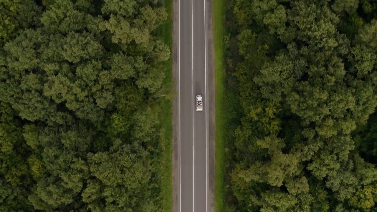 空中跟踪跟踪无人机拍摄的白色汽车行驶在柏油路橡树林视频素材