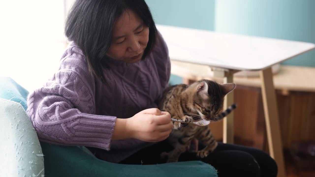 这个女人正在喂小猫视频素材