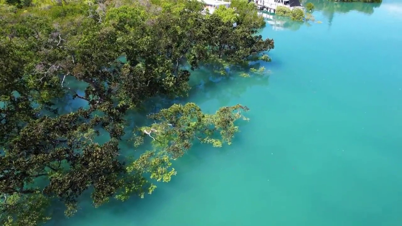 蓝色海湾的空中红树林视频素材