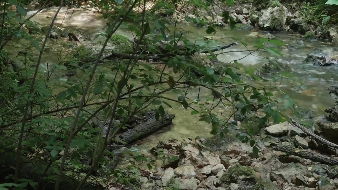 男人走到山河岸边，用水洗脸，然后过河到对岸视频素材