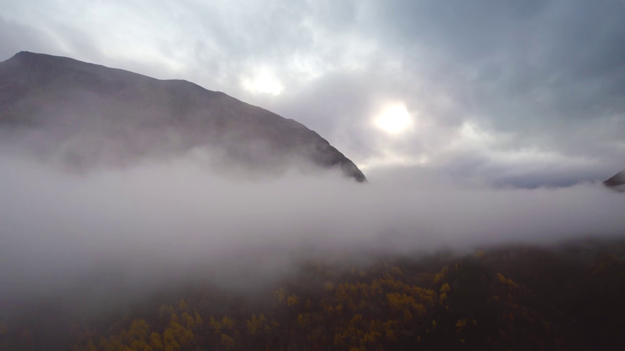 空中的秋林和山雾视频素材