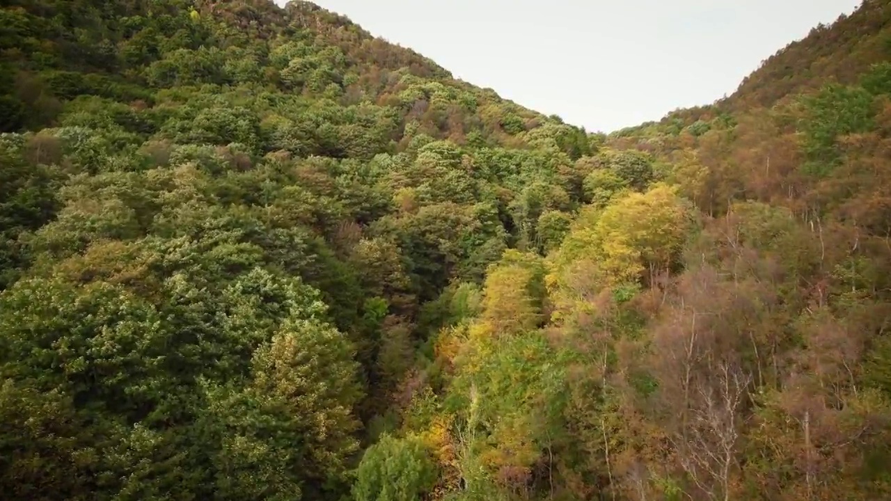 秋木birdview视频素材