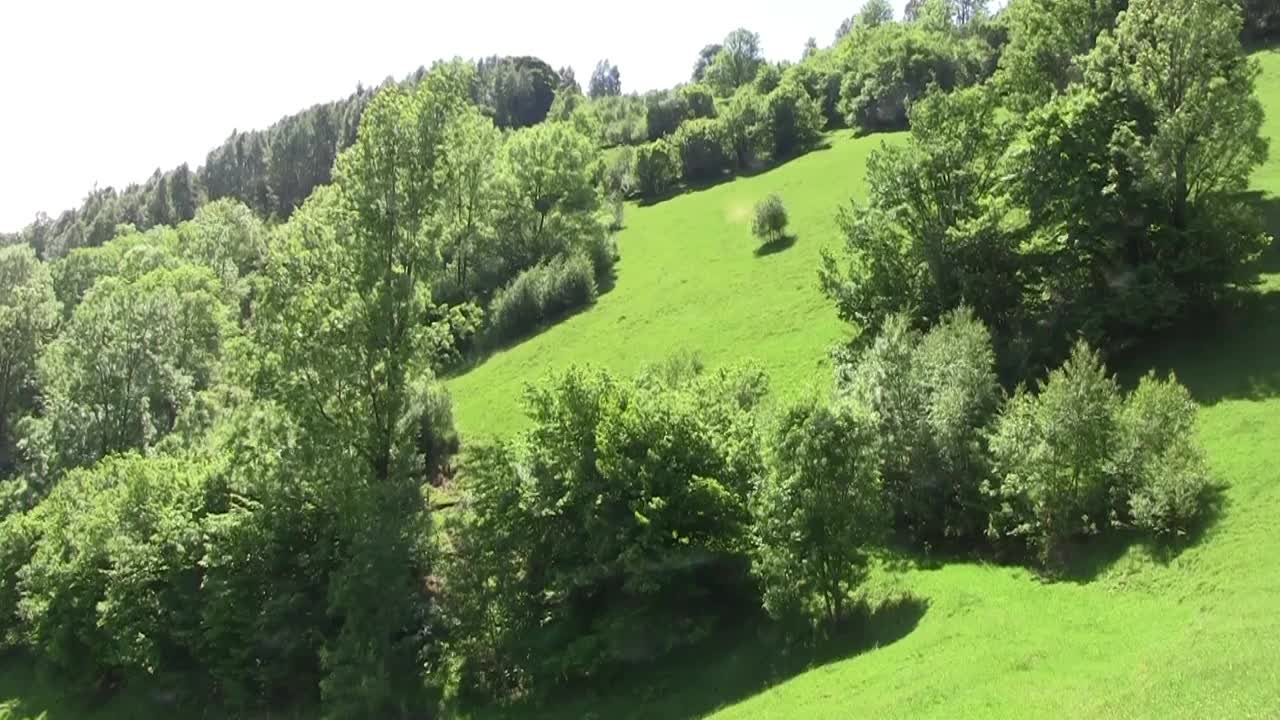 覆盖着茂密森林的陡峭山脉的水平全景视频素材