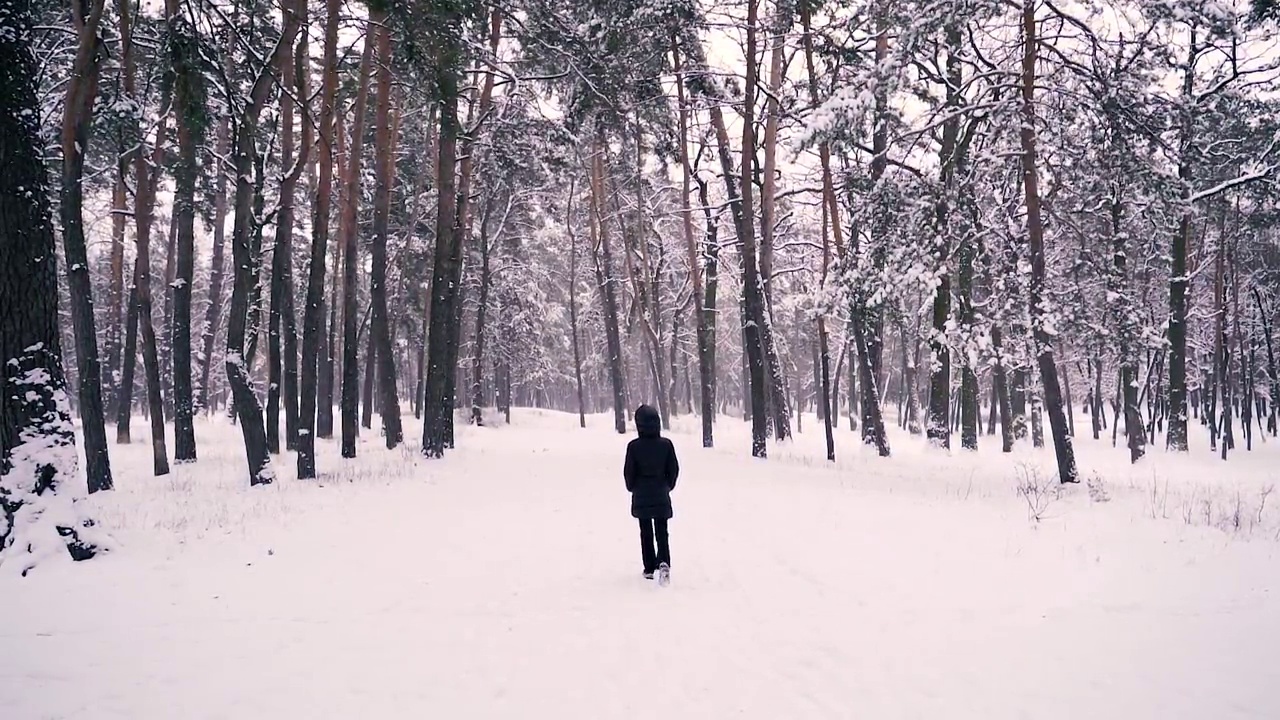 冬天。冬天下雪的森林。总体规划。视频素材