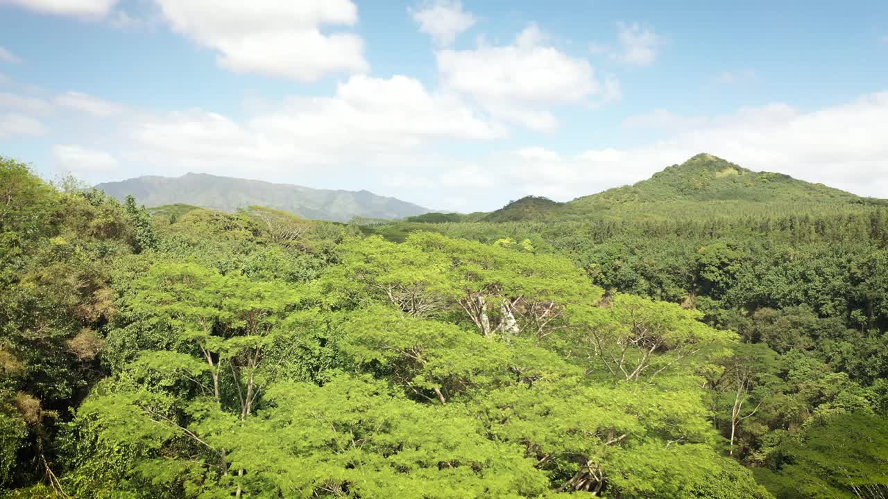 夏威夷瀑布Dron视频素材