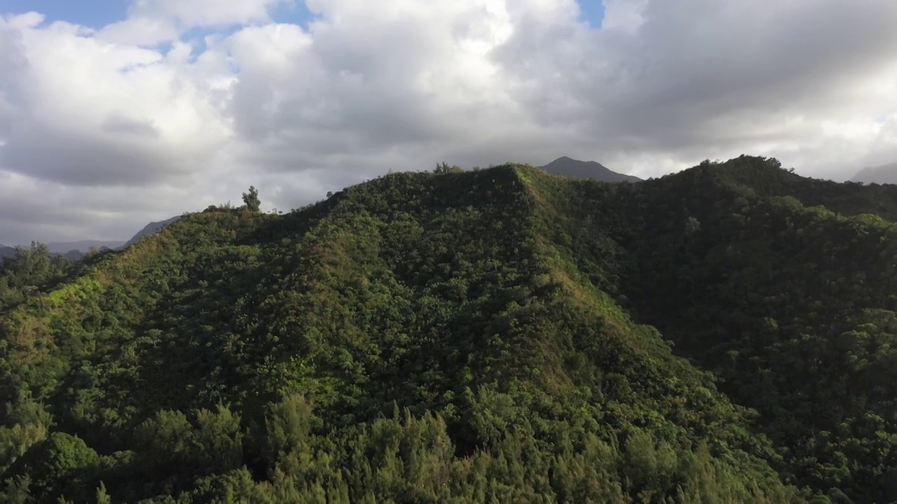 热带森林山视频素材