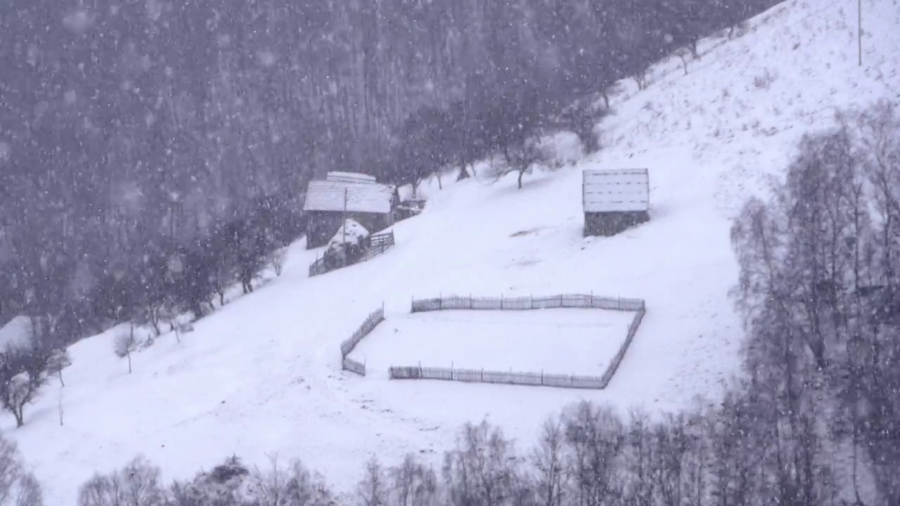 密集的降雪覆盖了落叶森林边缘废弃的房屋视频素材