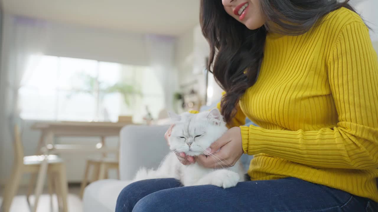 亚洲女人抱着小猫在家里玩得很开心。有魅力的美女坐在沙发上，在客厅里悠闲地抚摸着她的宠物。视频素材