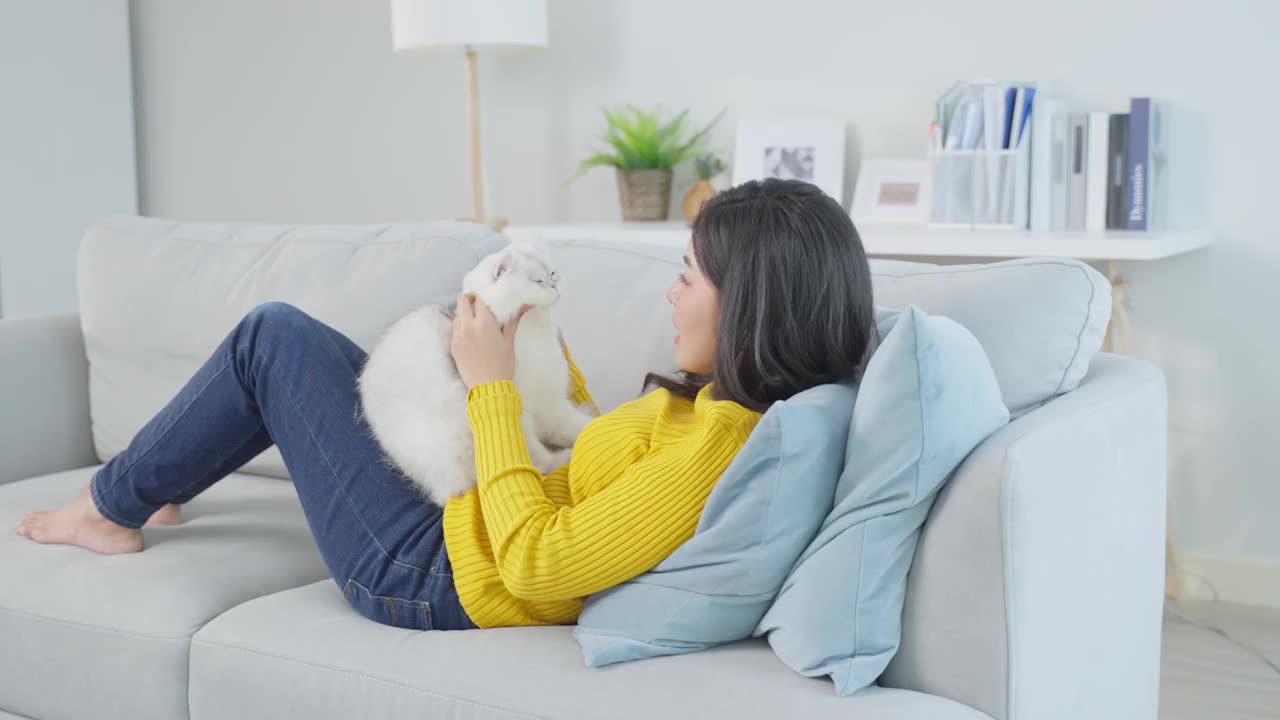 亚洲女人抱着小猫在家里玩得很开心。有魅力的漂亮女性坐在沙发上，悠闲地消磨时间，与她的宠物在客厅温柔地交谈。视频素材