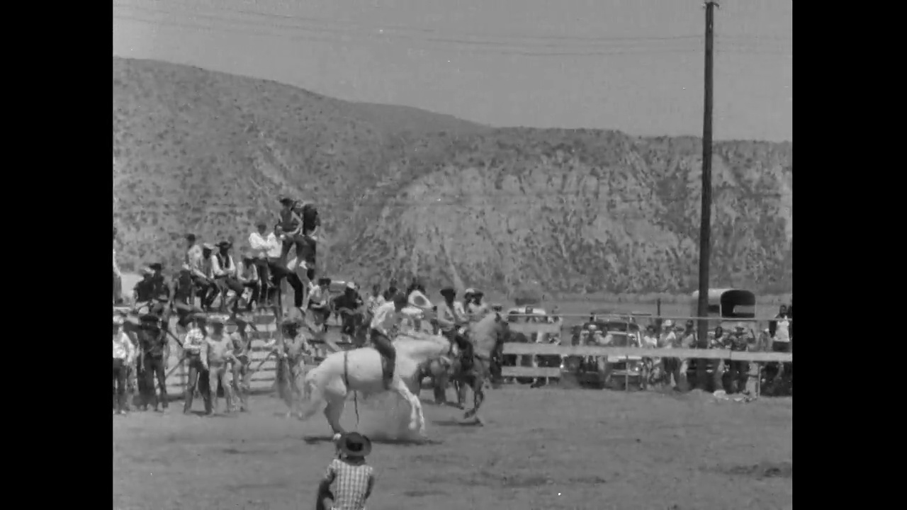 WS男子骑着白色的野马在德克萨斯竞技;1961视频素材