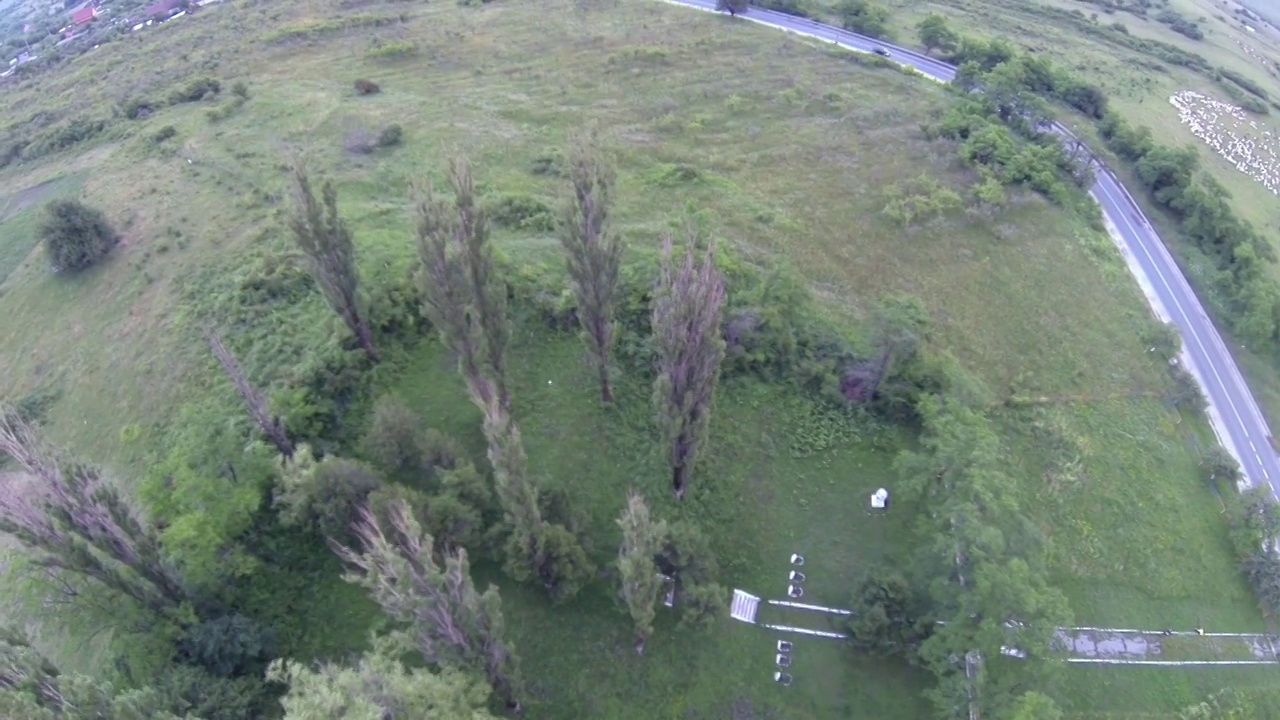 在一片高大的白杨树林中飞行视频素材