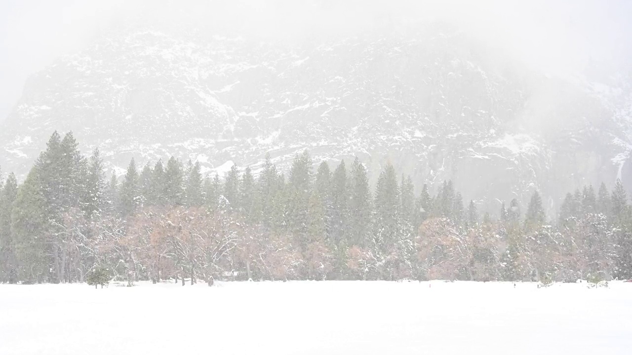 约塞米蒂山谷下起大雪视频素材