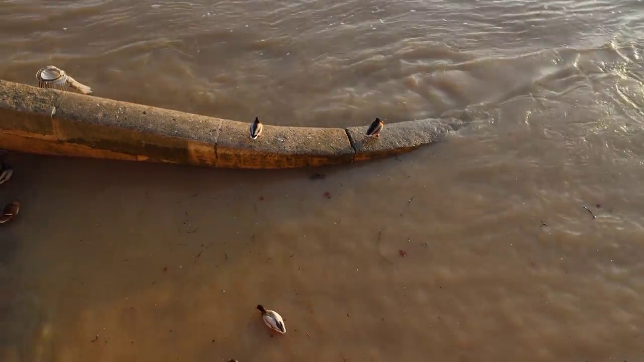 巴黎塞纳河发生小洪水视频素材