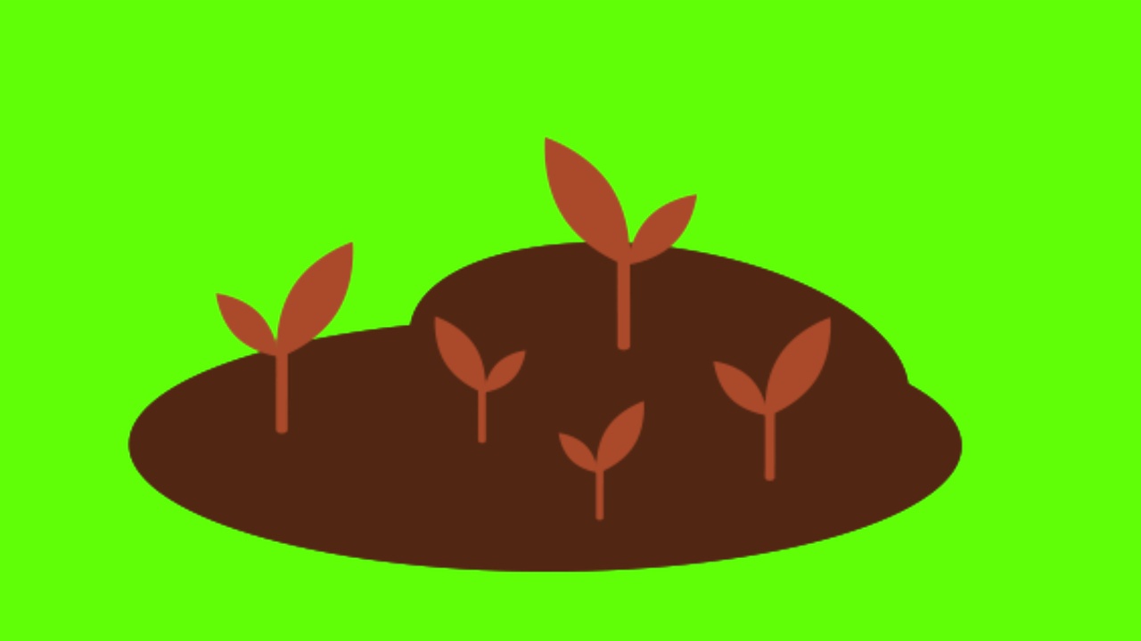 绿色屏幕上生长的植物的动画视频素材画面3