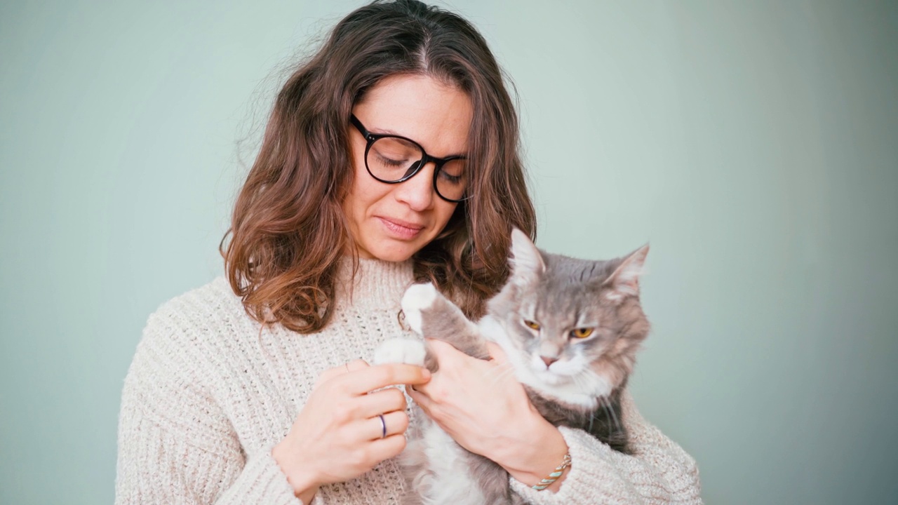 一个迷人的年轻女子抚摸着她的猫。视频素材