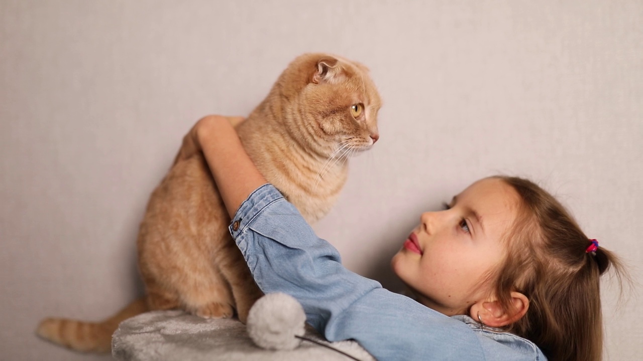 微笑的小女孩依偎着，亲吻着她姜黄色的猫视频素材