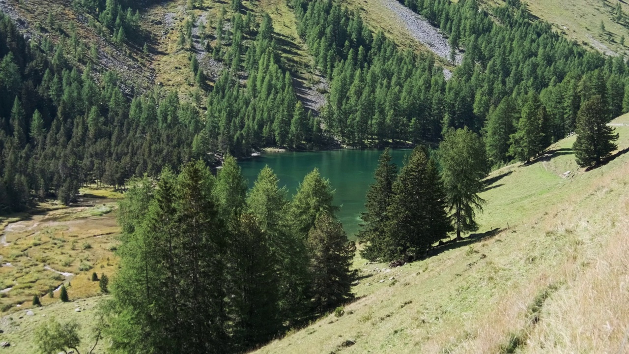 位于瑞士阿尔卑斯山阿尔布拉帕斯的阿尔卑斯山谷与高山帕尔普格纳湖视频素材