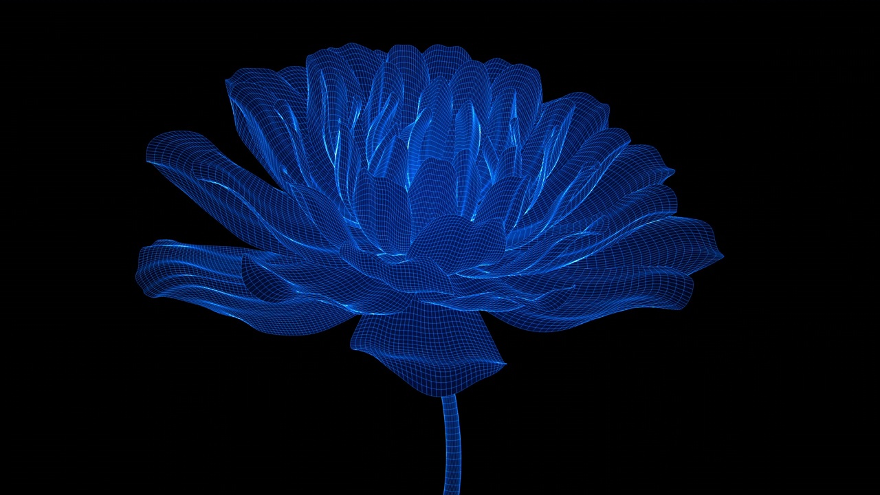 美容科技花视频素材画面1