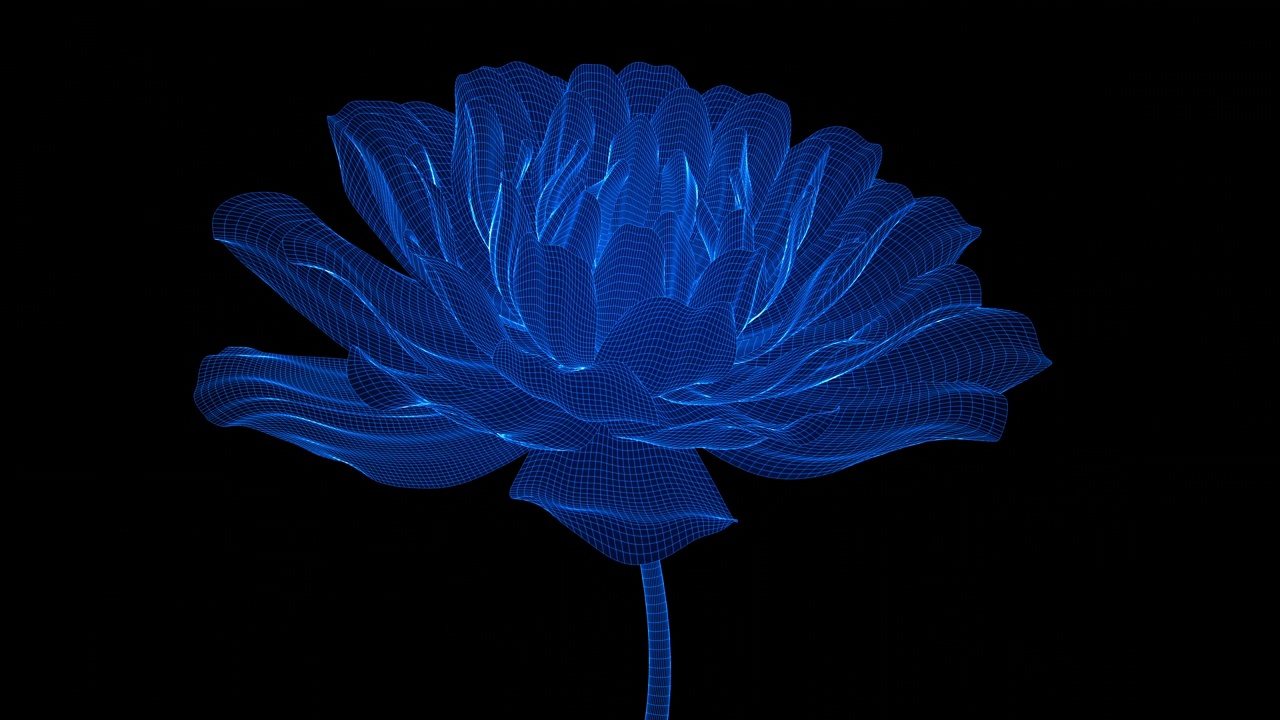 美容科技花视频素材画面2