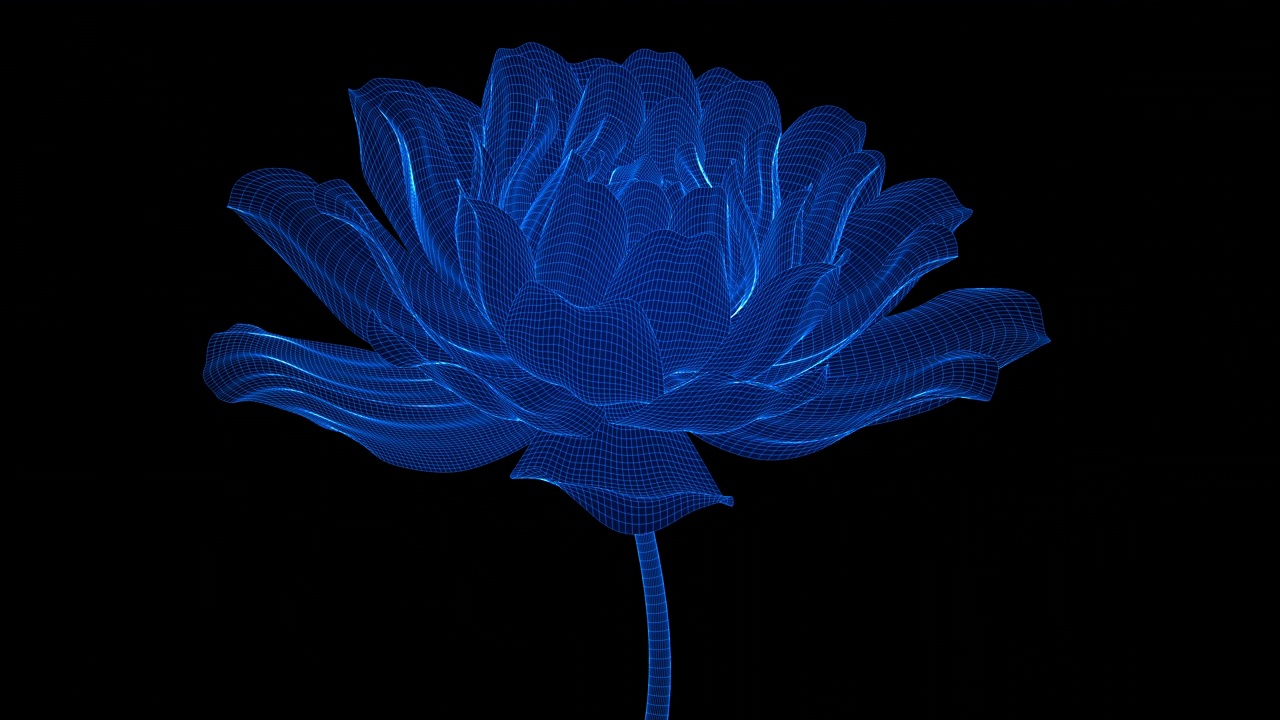 美容科技花视频素材画面3