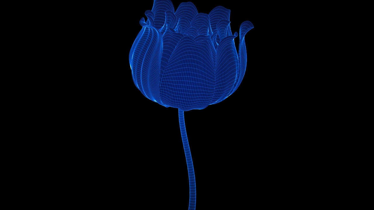 美容科技花视频素材画面4