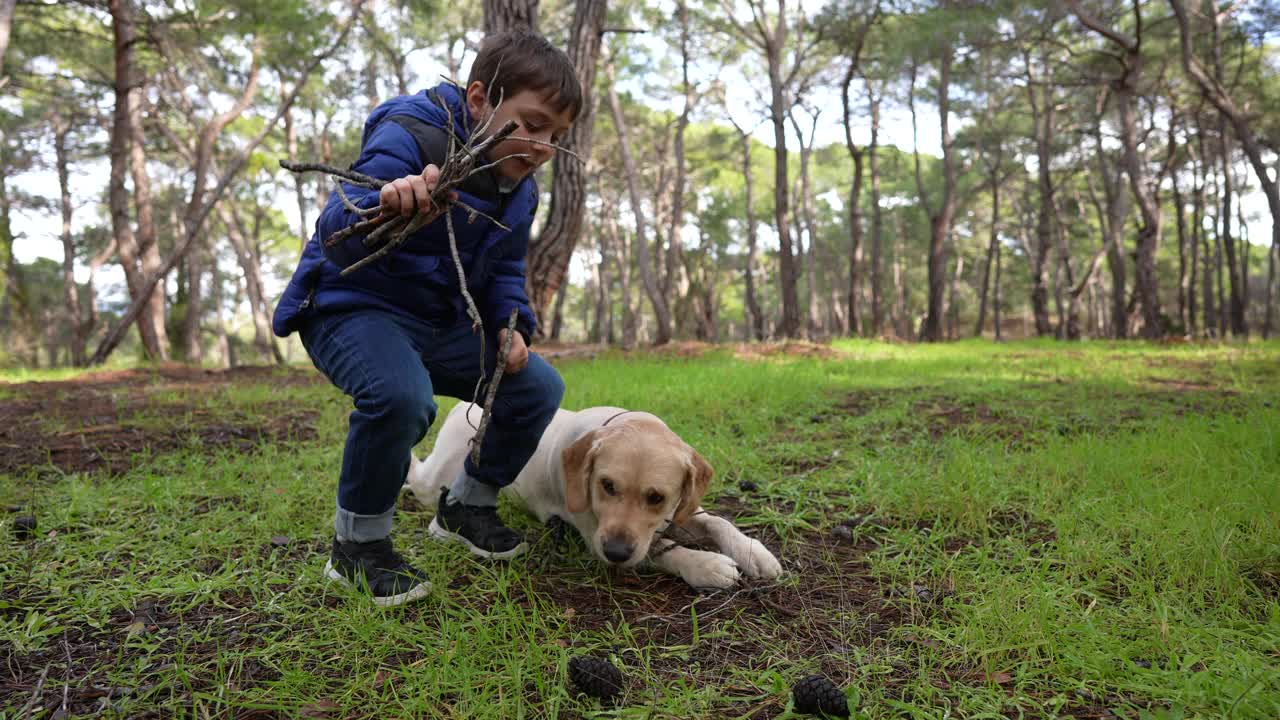 小主人和他的金毛寻回犬在树林里快乐地玩耍。视频素材