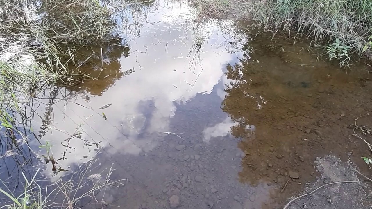 水中倒影着树木和多云的蓝天。这是一个由天然石灰石盆地组成的水池，在下午被岩石和草地包围视频素材