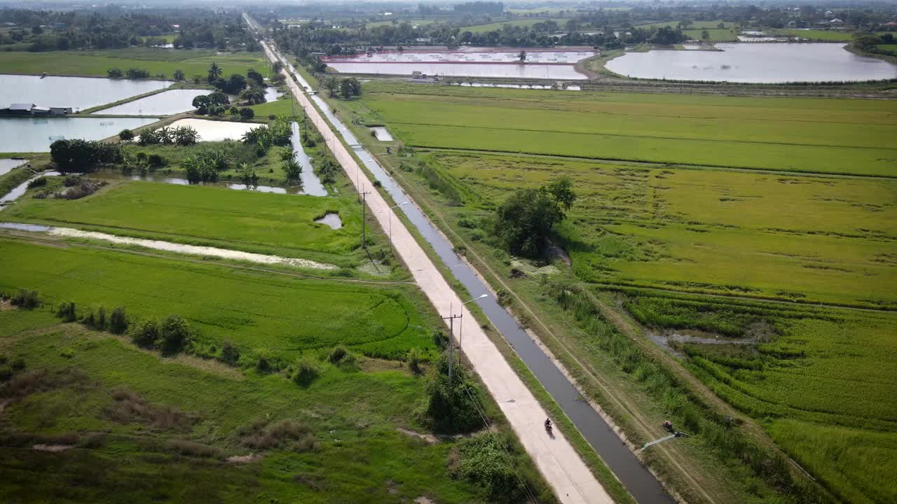 泰国派差武里的湿地农业农场视频下载