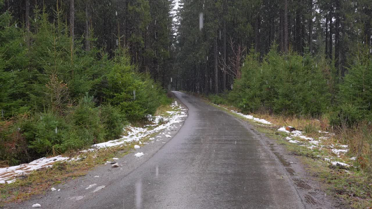 针叶林与道路在降雪视频素材