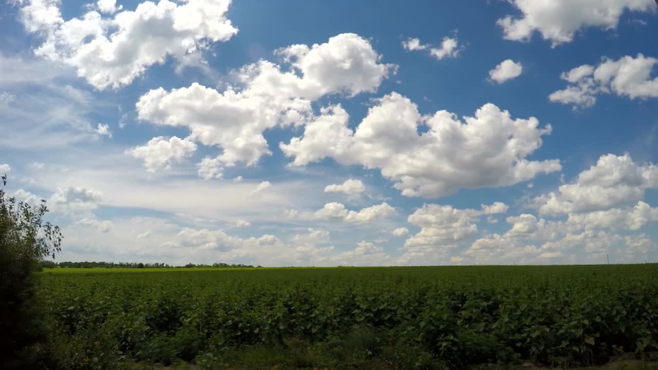 晴空万里，白云朵朵。间隔拍摄。视频素材