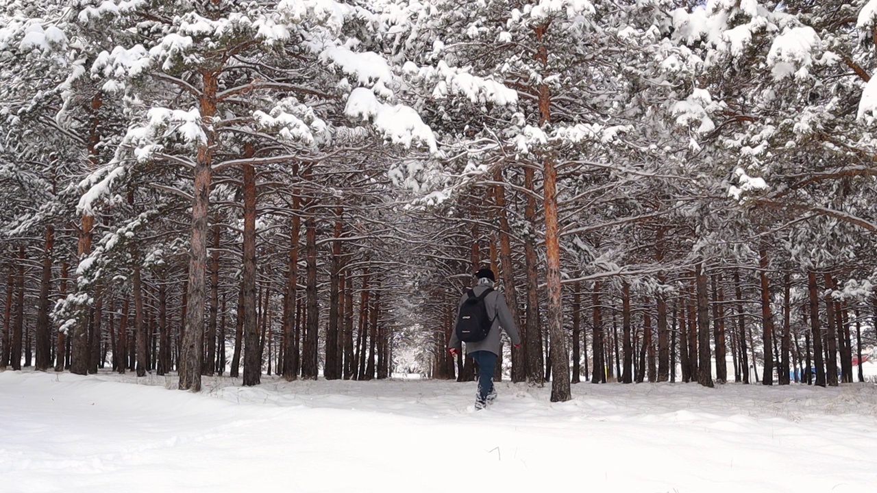 在土耳其埃尔祖鲁姆。
他在踢一棵被雪覆盖的树。
松林在寒冷的天气-50°C冬季。
一个成年人独自冒险进入森林。
野生自然、野生动物。
有趣的视频素材