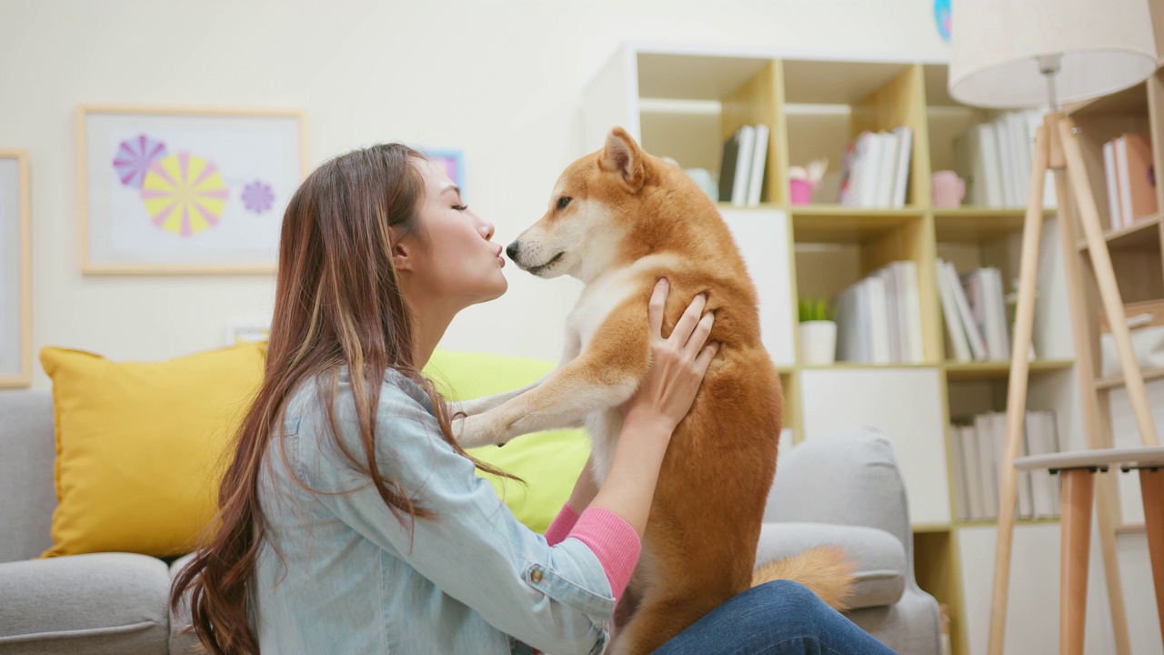 亚洲女人抱抱狗视频素材