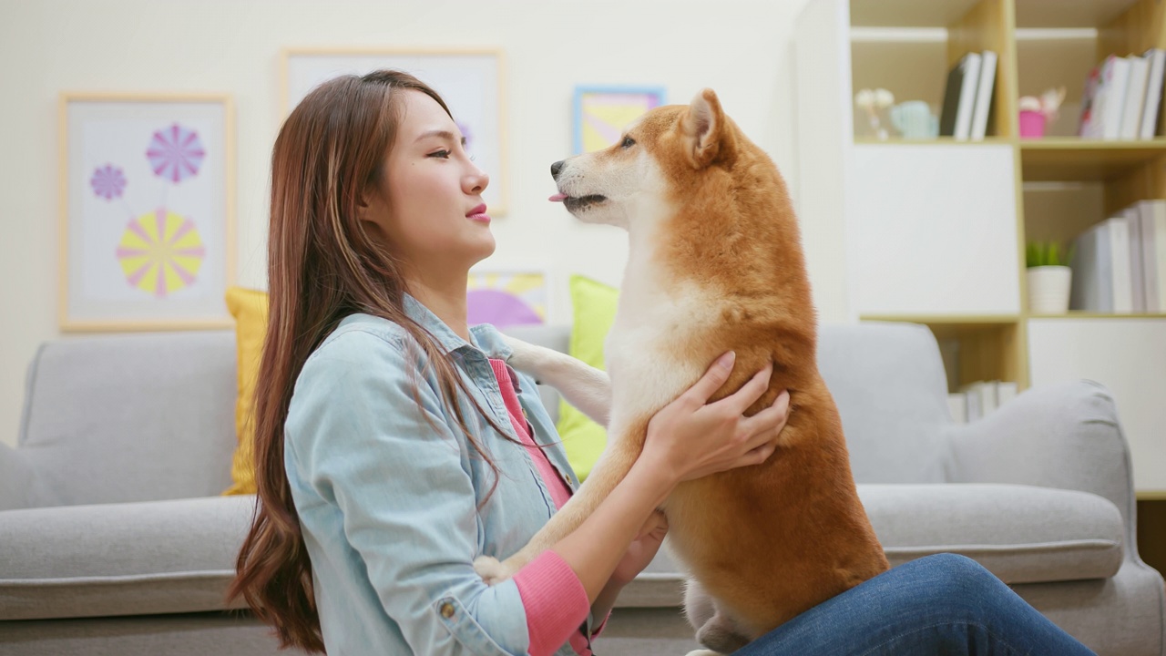 亚洲女人抱抱狗视频素材