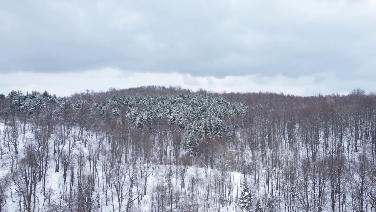 鸟瞰雪山。视频素材